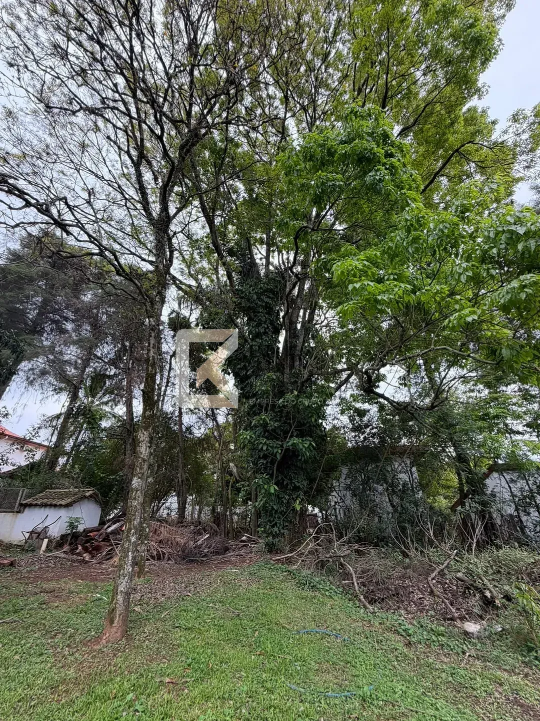 Chácara, 4 quartos, 3300 m² - Foto 31