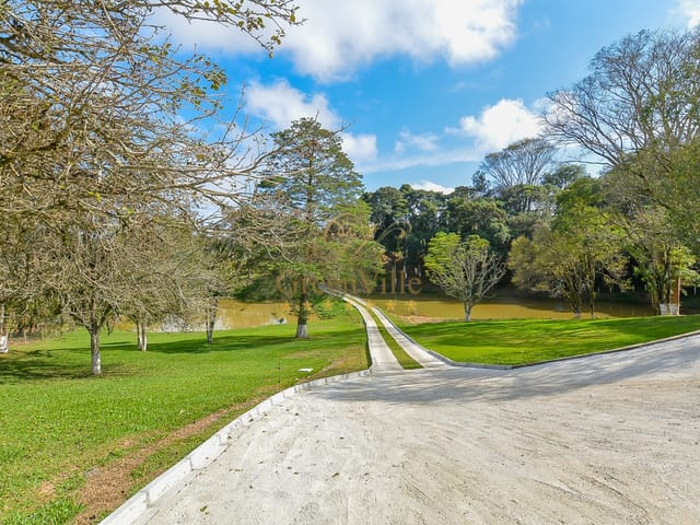 Foto do Chácara - Campo Largo, Chácara de luxo 145.000m², 4 quartos, 2 Suítes, à 2km do Fórum, à venda, Jardim Florestal, PR | Imobiliária GreenVille