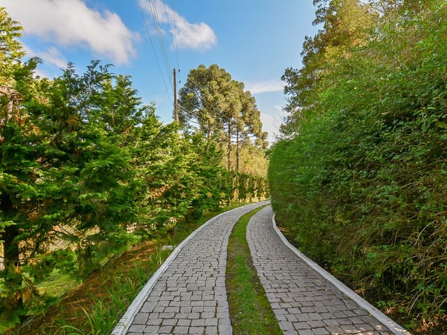 Foto do Chácara - Campo Largo, Chácara de luxo 145.000m², 4 quartos, 2 Suítes, à 2km do Fórum, à venda, Jardim Florestal, PR | Imobiliária GreenVille