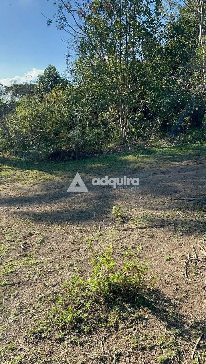 Chácara, 1 quarto, 10 m² - Foto 3