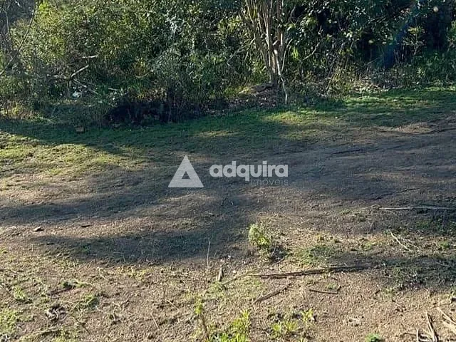 Chácara à venda, no bairro Bocaina em Ponta Grossa