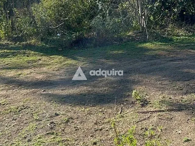 Chácara à venda, no bairro Bocaina em Ponta Grossa