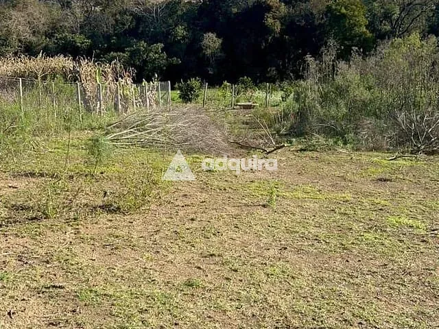 Chácara à venda, no bairro Bocaina em Ponta Grossa
