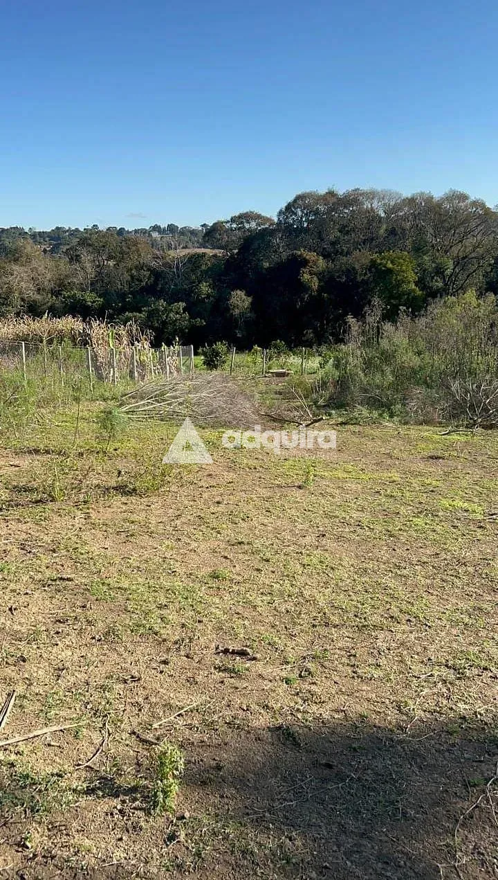 Chácara, 1 quarto, 10 m² - Foto 2