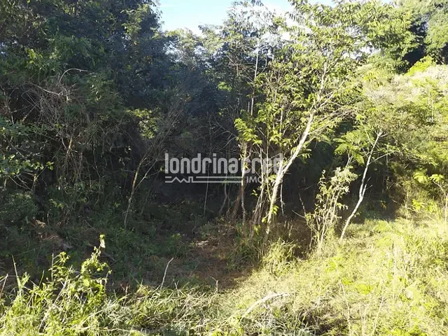 Chácara com 7000m², à venda, no bairro Usina Três Bocas em Londrina