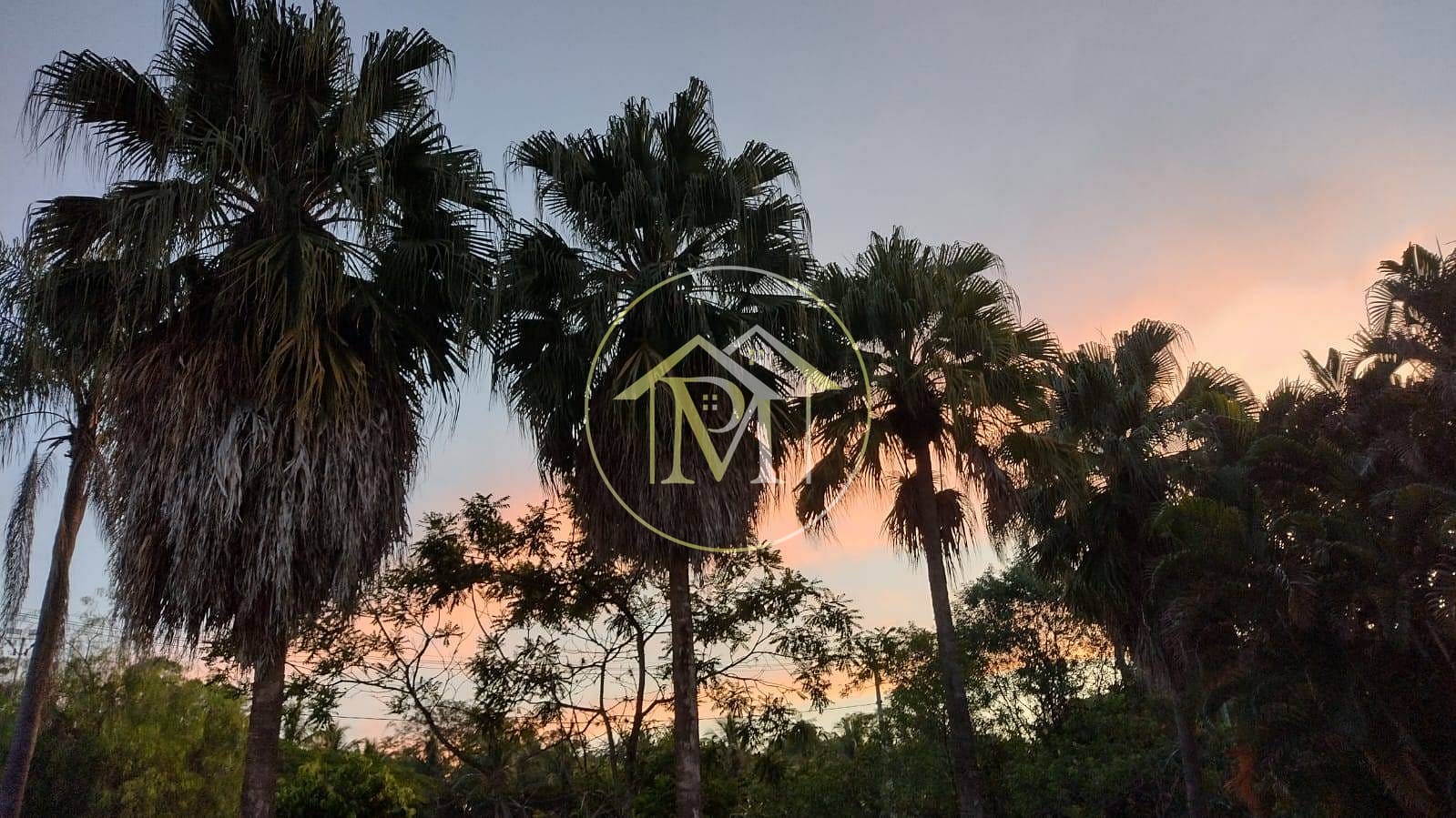 Sítio, 3 quartos, 2 hectares - Foto 17