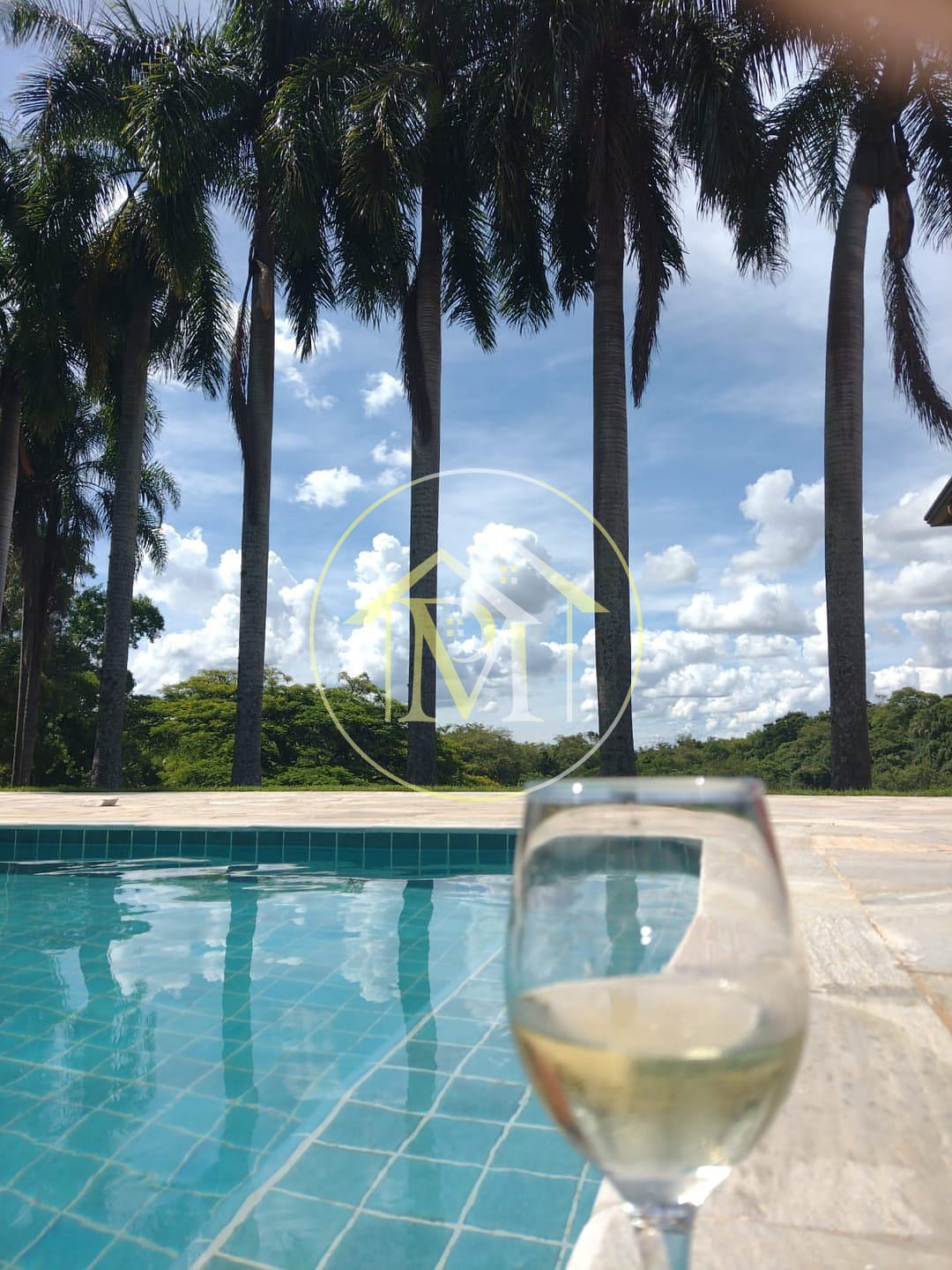 Sítio, 3 quartos, 2 hectares - Foto 45