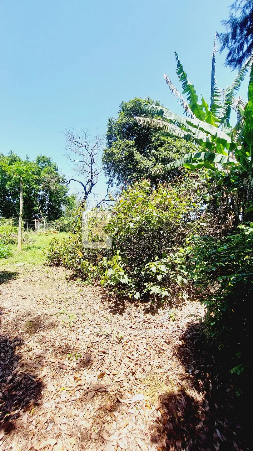 Chácara, 4 quartos, 10 m² - Foto 59