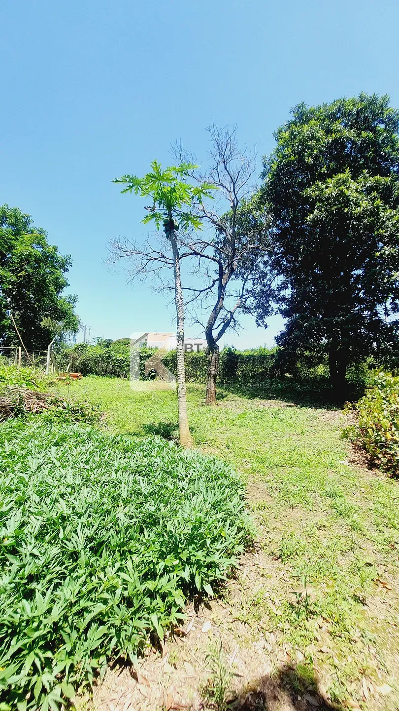 Chácara, 4 quartos, 10 m² - Foto 60