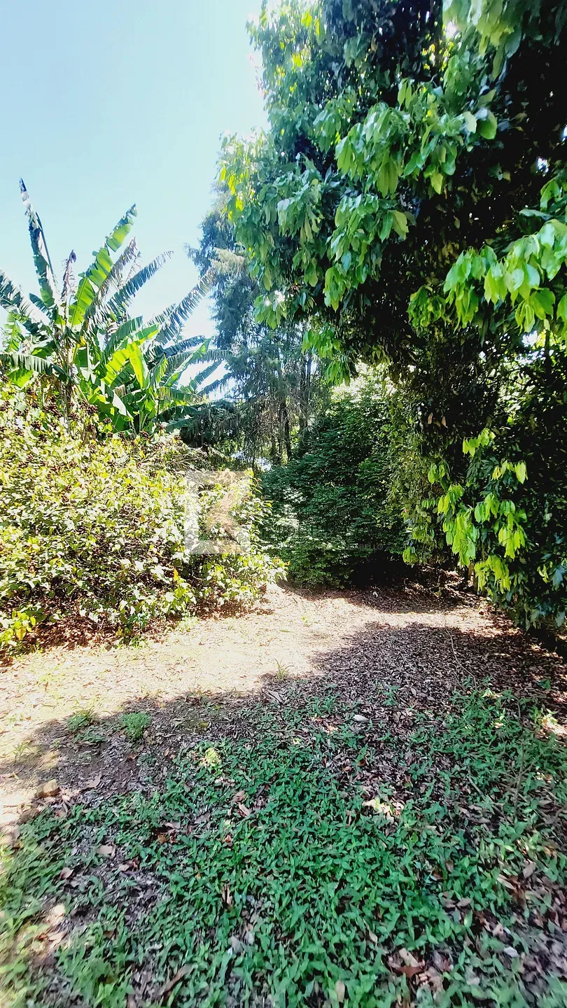 Chácara, 4 quartos, 10 m² - Foto 61