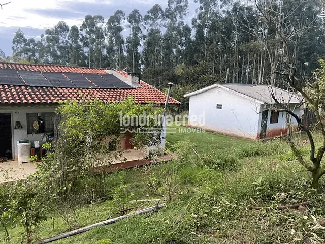 Chácara com 121000m², à venda, no bairro São Domingos em Apucarana