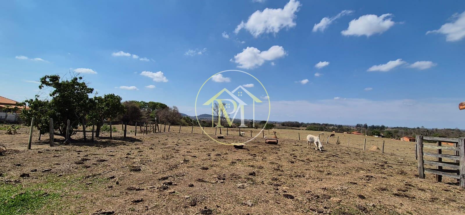 Sítio, 4 quartos, 400 m² - Foto 19