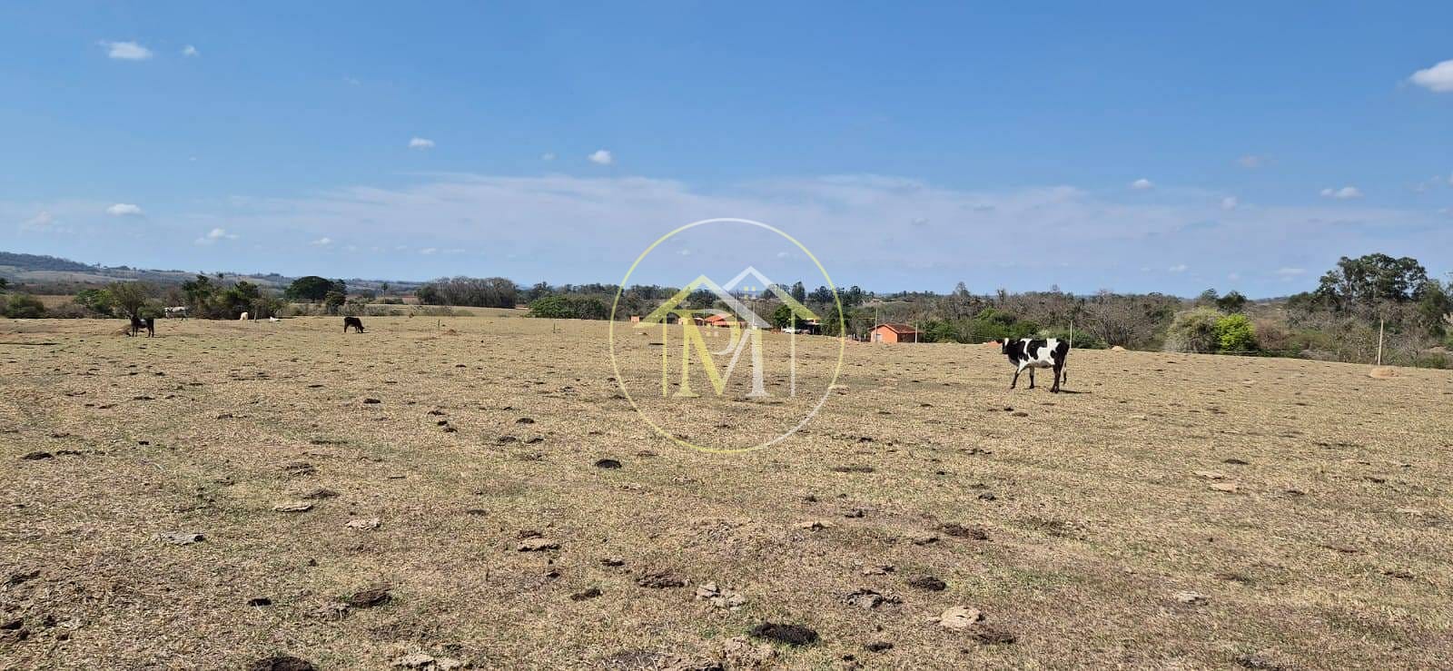 Sítio, 4 quartos, 400 m² - Foto 9