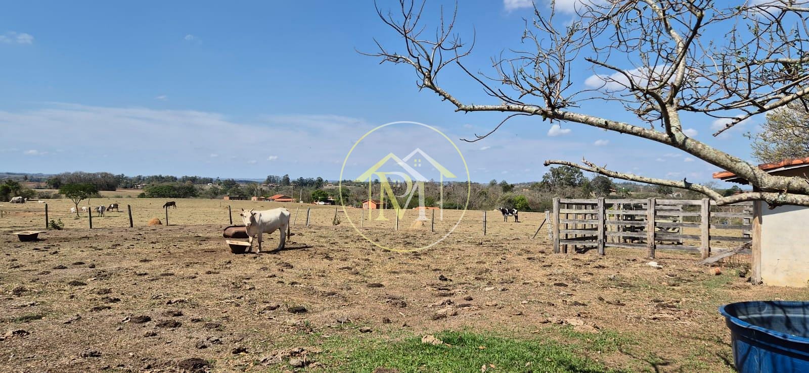 Sítio, 4 quartos, 400 m² - Foto 10