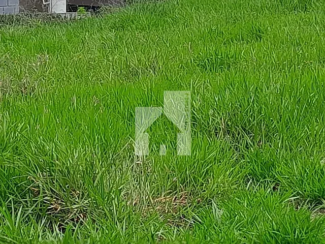 Chácara com 3500m² 2 quartos e 1 banheiro, à venda, no bairro Minas de Inhandjara em Itupeva