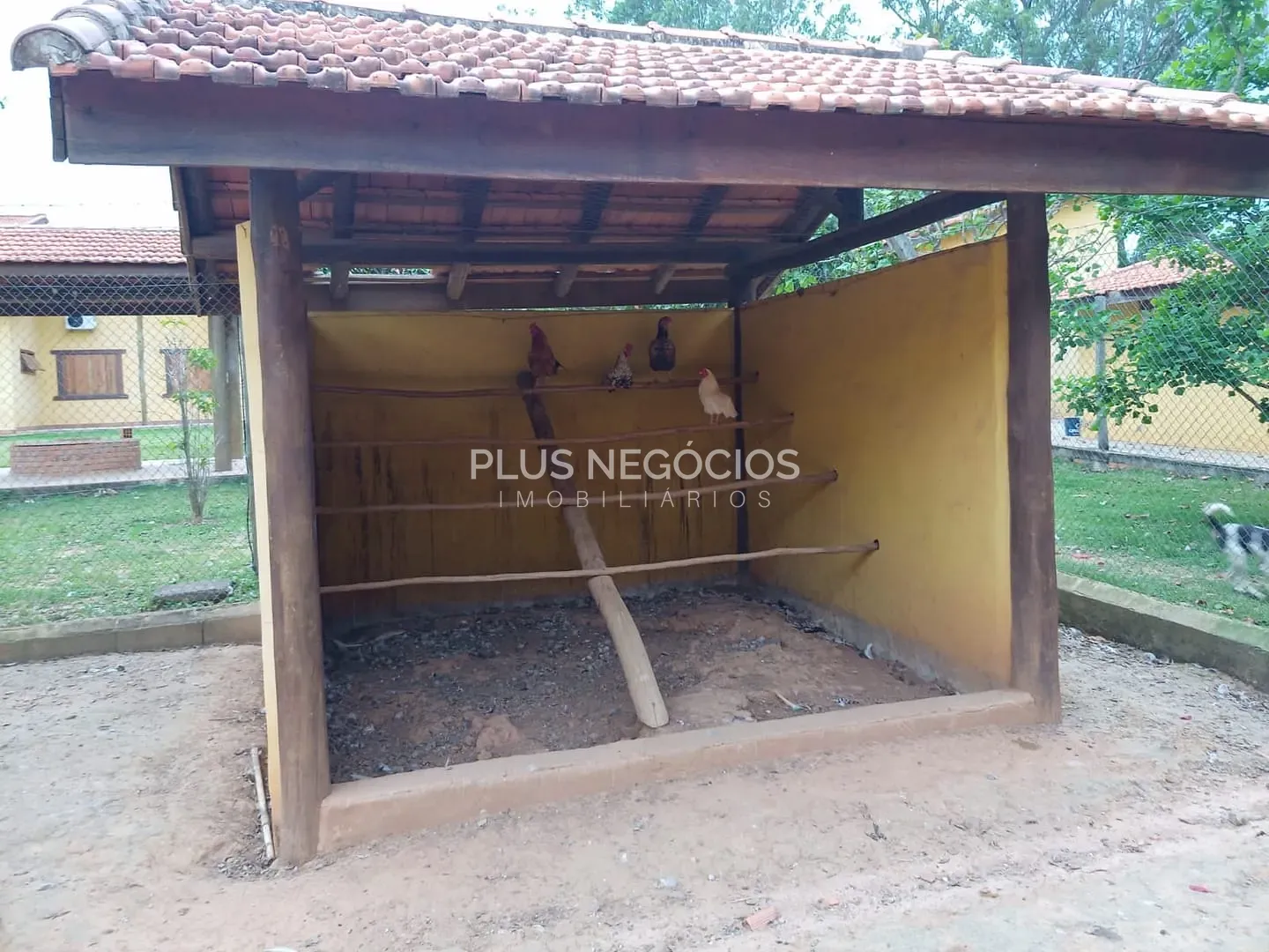 Sítio, 4 quartos, 10000 m² - Foto 14