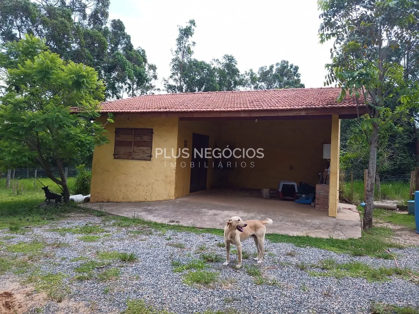 Sítio, 4 quartos, 10000 m² - Foto 10