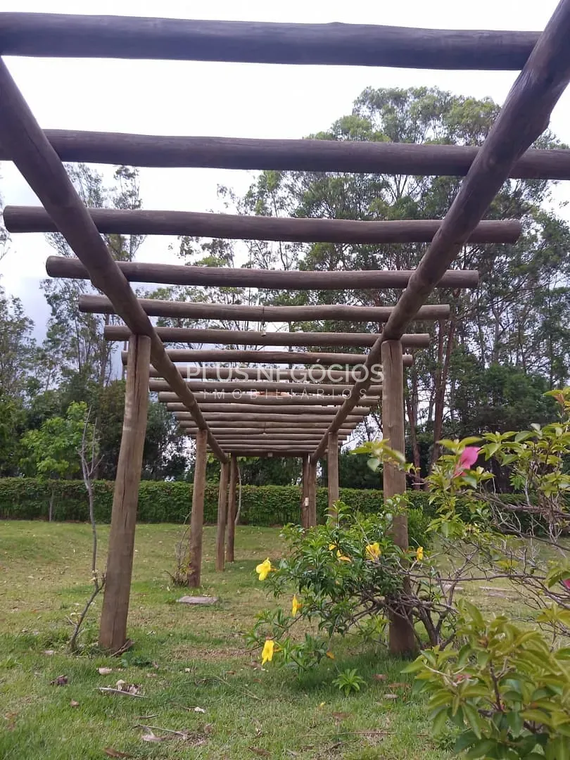 Sítio, 4 quartos, 10000 m² - Foto 67