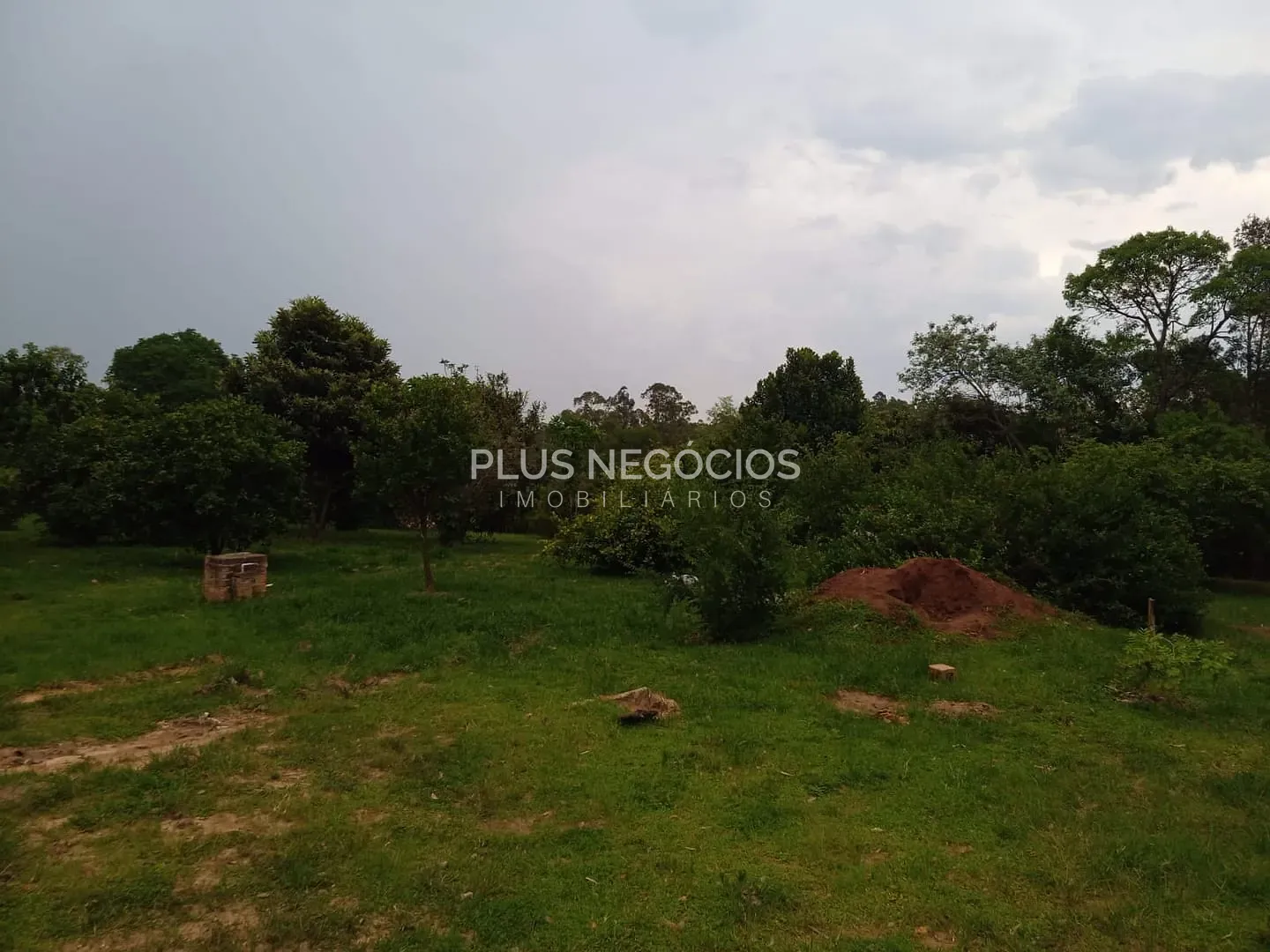 Sítio, 4 quartos, 10000 m² - Foto 13