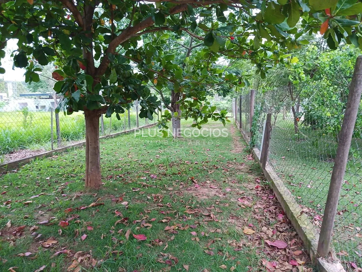 Sítio, 4 quartos, 10000 m² - Foto 19