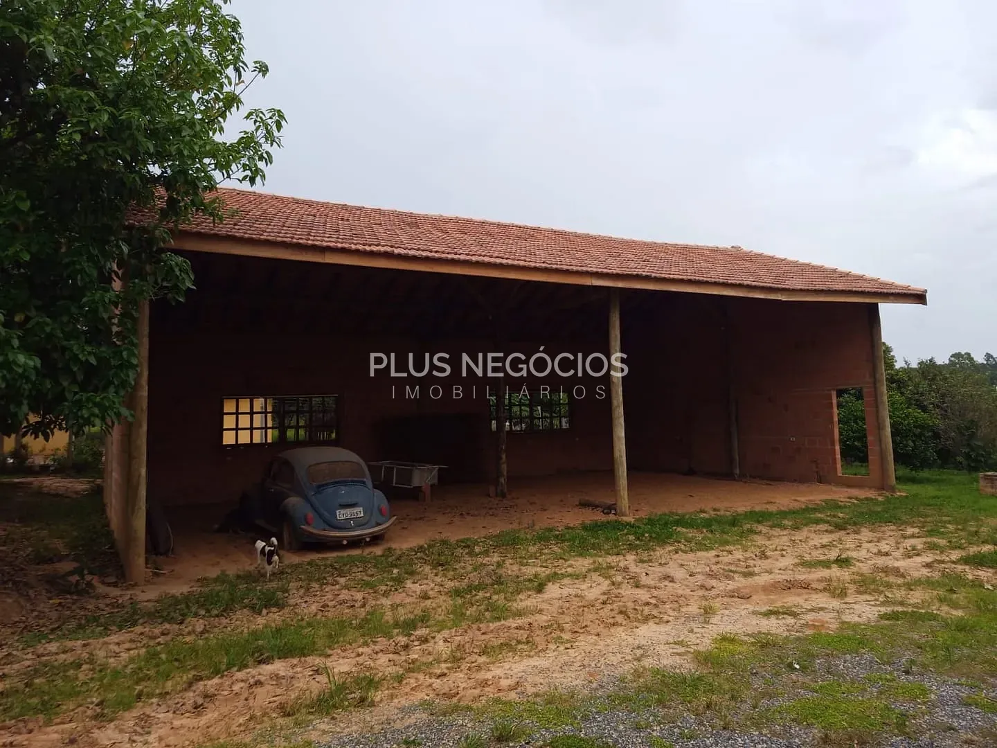 Sítio, 4 quartos, 10000 m² - Foto 11