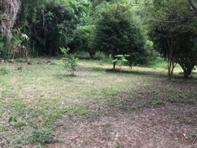 Foto do Chácara - Chácara com 2 dormitórios à venda, 4000 m² por R$ 400.000,00 - Buquirinha II - São José dos Campos/SP | INDEPENDENCE NEGOCIOS IMOBILIARIOS LTDA