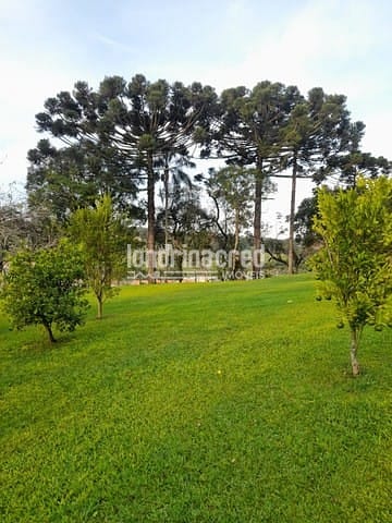 Sítio, 1 quarto, 1 hectares - Foto 5