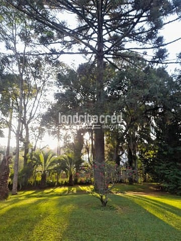 Sítio, 1 quarto, 1 hectares - Foto 4