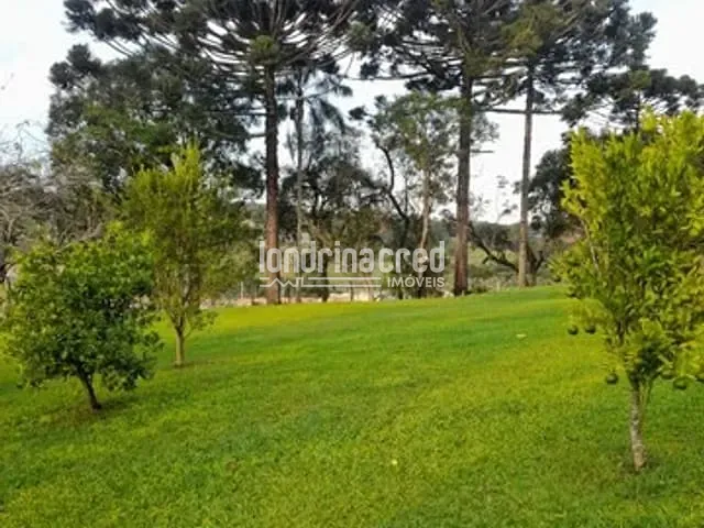 Chácara com 12000m², à venda, no bairro Vila Santa Cruz em Castro