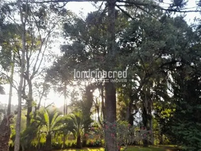 Chácara com 12000m², à venda, no bairro Vila Santa Cruz em Castro