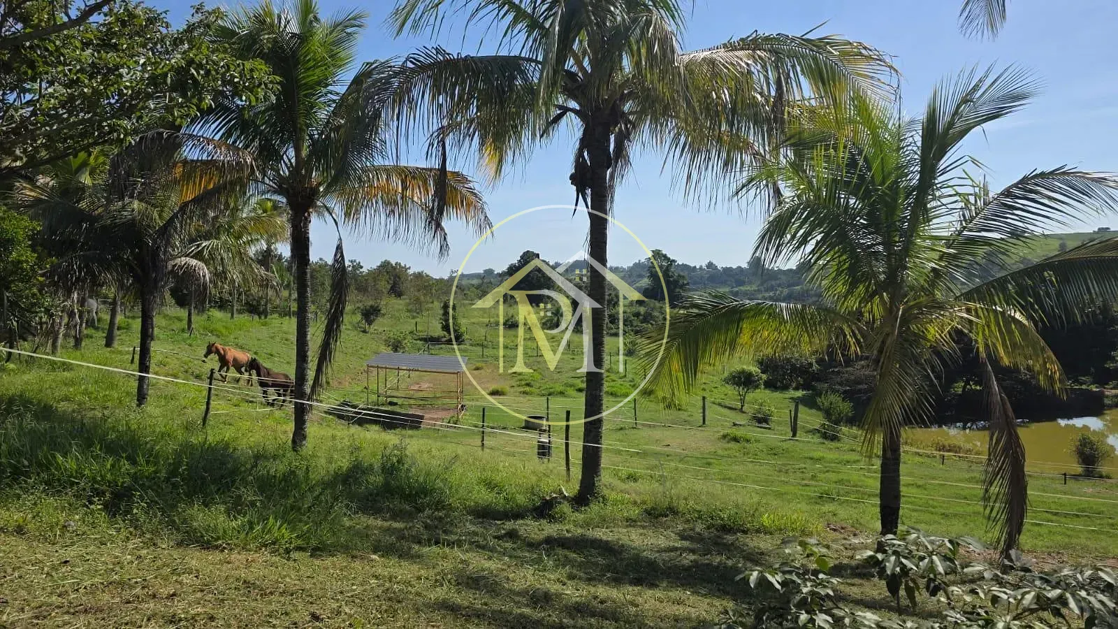 Sítio, 2 quartos, 3 hectares - Foto 4