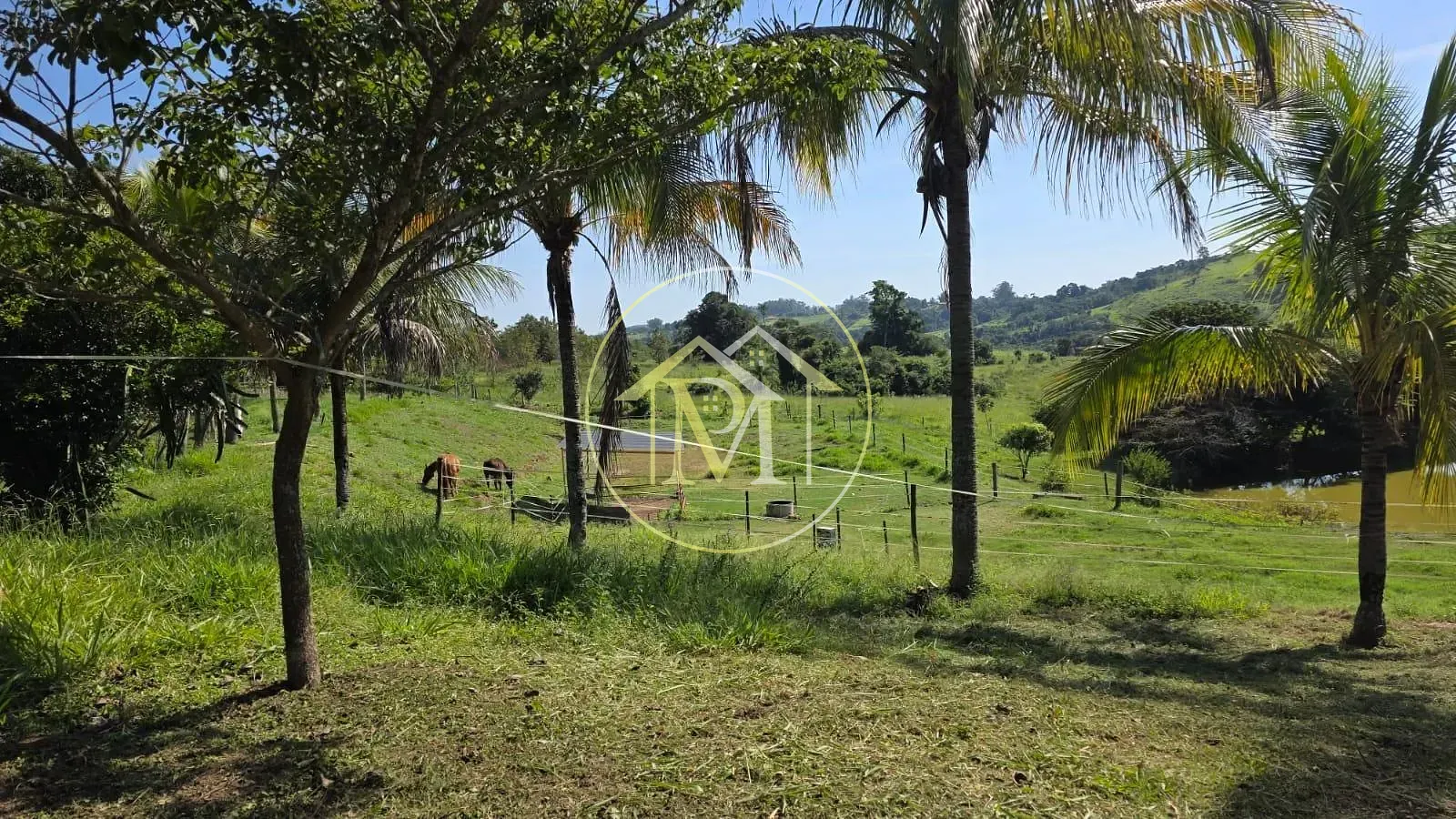 Sítio, 2 quartos, 3 hectares - Foto 10