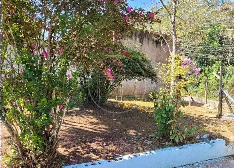 Sítio, 2 quartos, 1200 m² - Foto 14