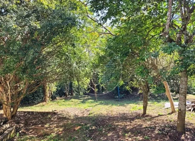 Sítio, 2 quartos, 1200 m² - Foto 13