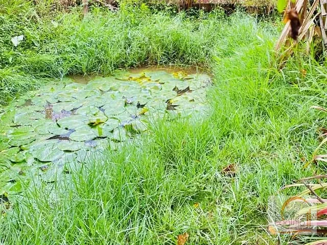 Chácara com 780m² 4 quartos e 4 banheiros, à venda, no bairro Jardim Paulista em Atibaia