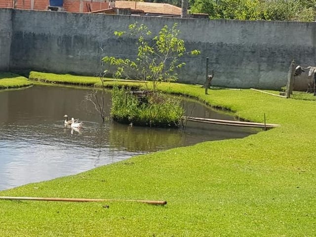 Chácara com 2670m² 1 quarto e 1 banheiro, à venda, no bairro Jardim Floresta em Vargem Grande Paulista