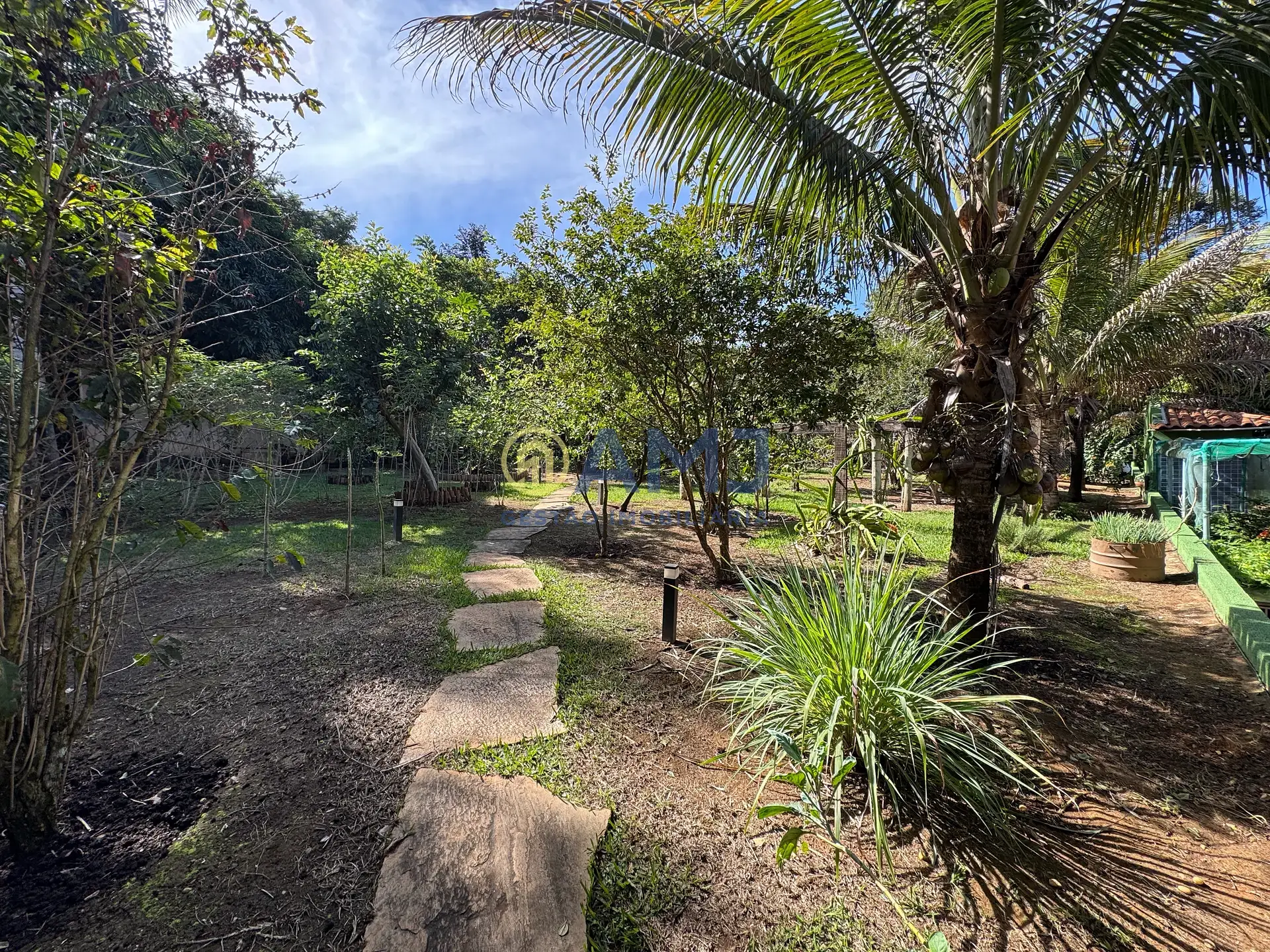 Sítio, 4 quartos, 2264 m² - Foto 43