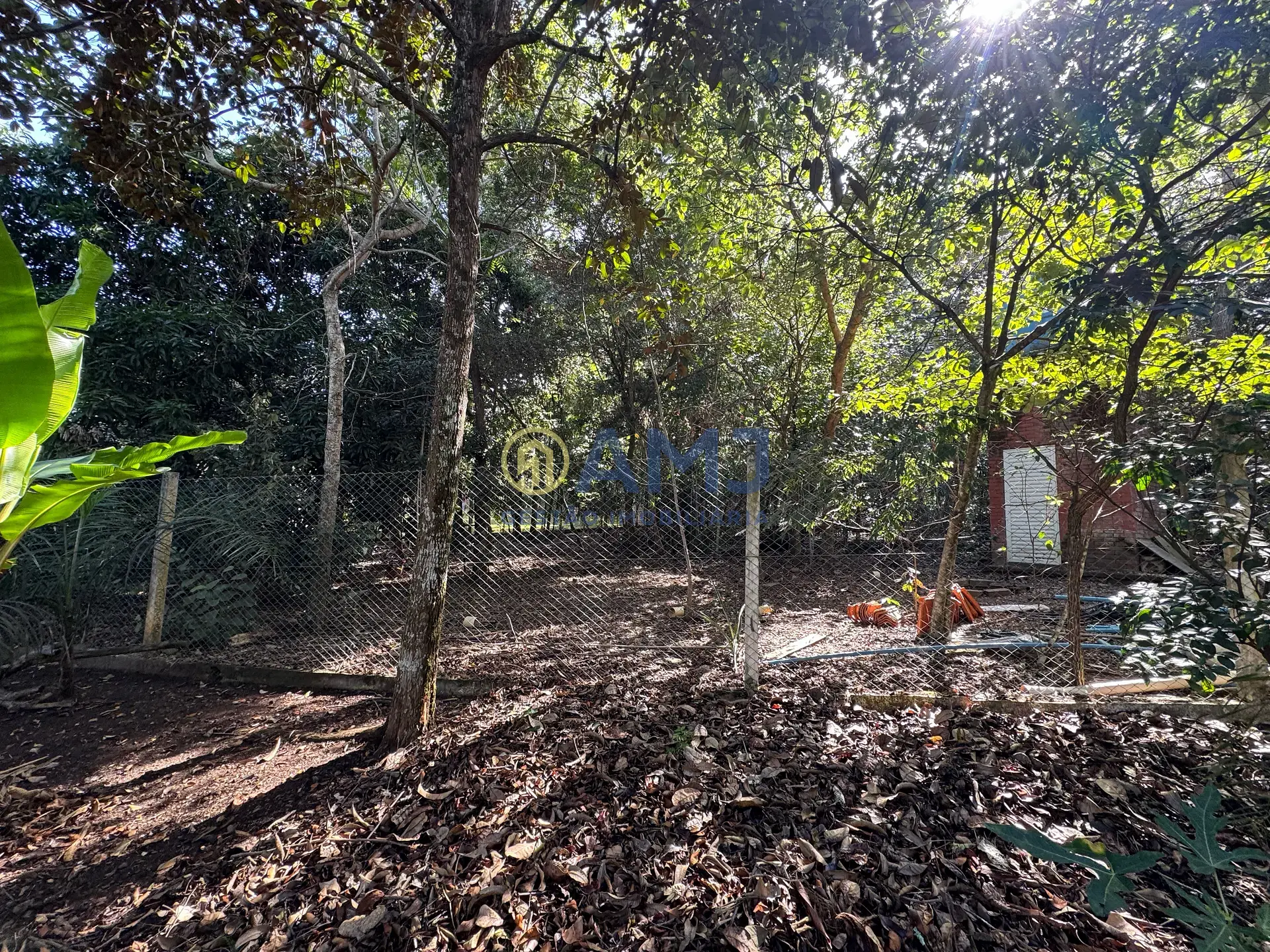 Sítio, 4 quartos, 2264 m² - Foto 48