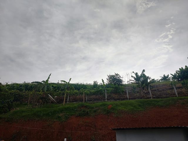 Chácara com 3000m² 1 quarto e 2 banheiros, à venda, no bairro Chácara São Félix em Taubaté