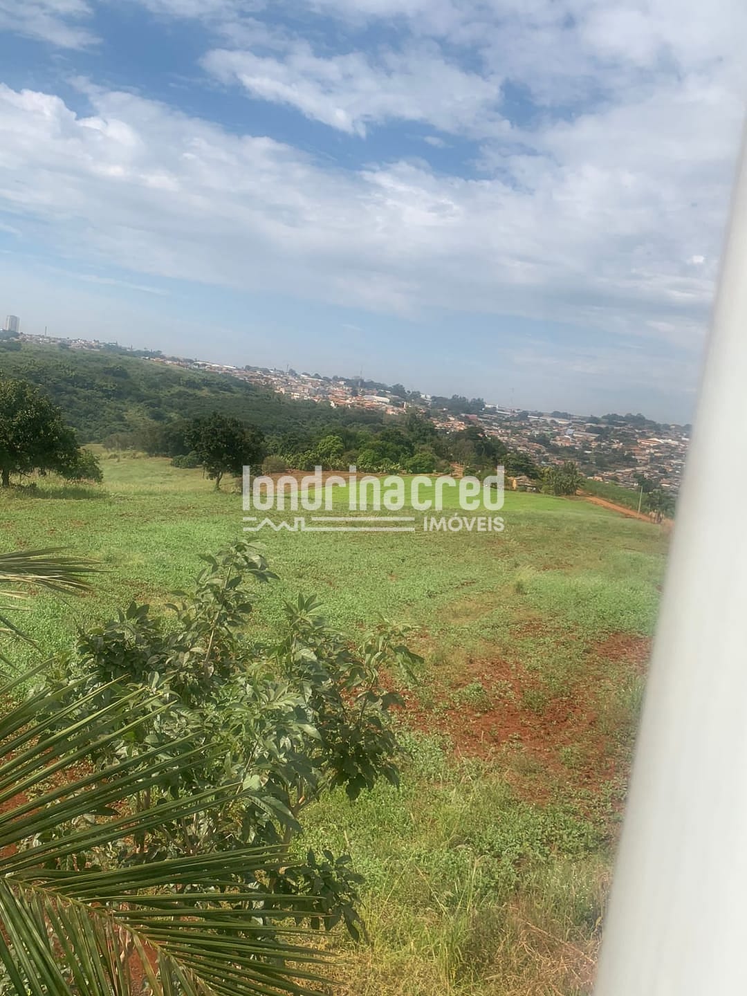 Sítio, 1 quarto, 12 hectares - Foto 3