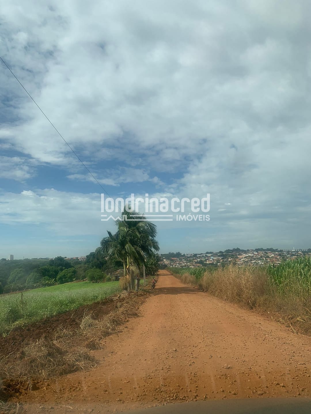 Sítio, 1 quarto, 12 hectares - Foto 4