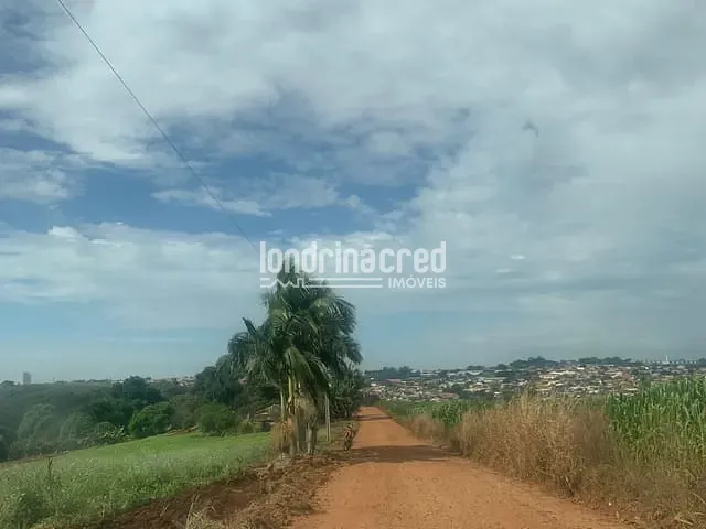 Chácara com 121000m², à venda, no bairro Zona Rural em Ibiporã