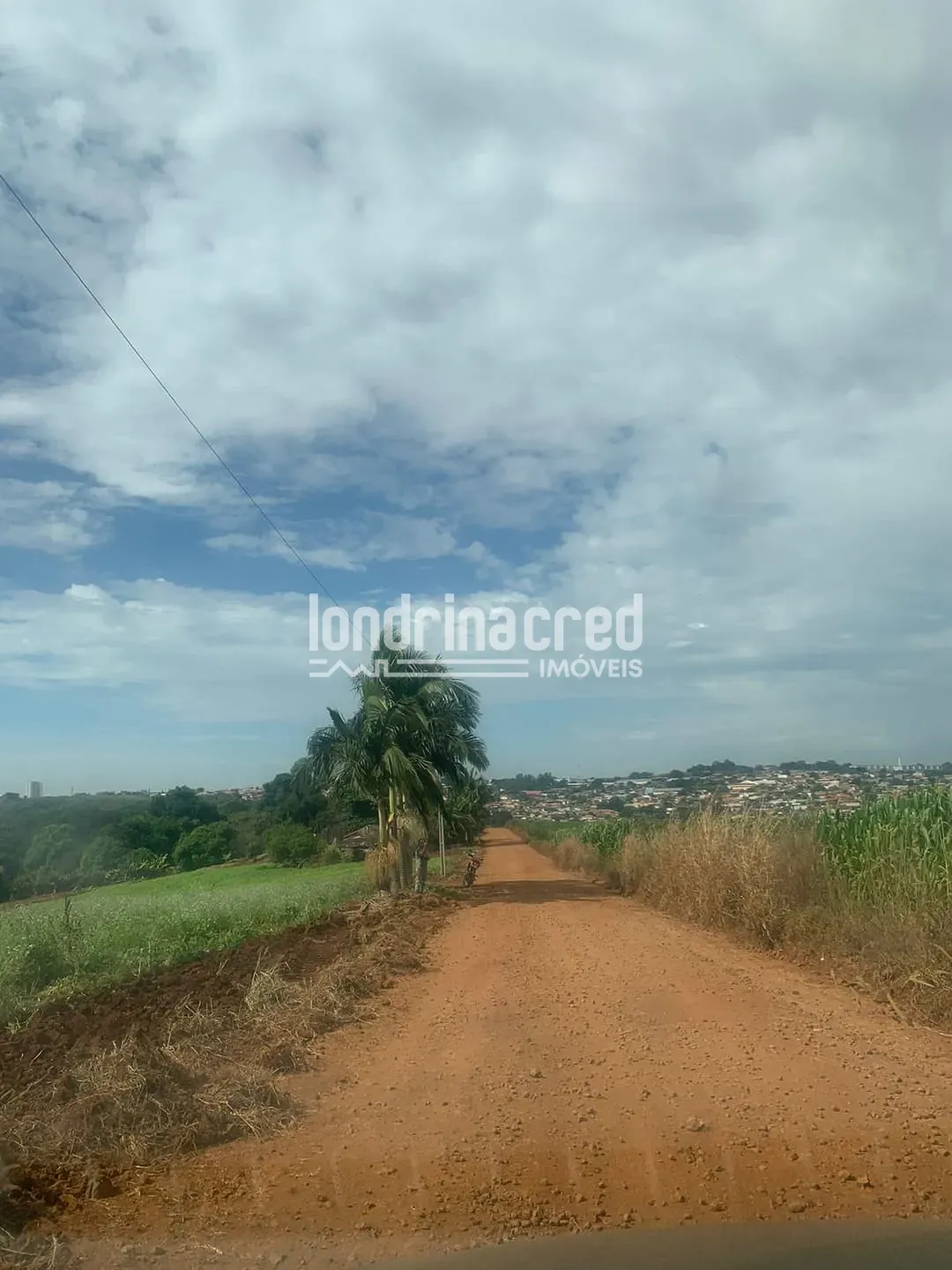 Sítio, 1 quarto, 12 hectares - Foto 4