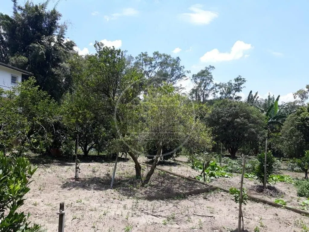 Sítio, 3 quartos, 1800 m² - Foto 12