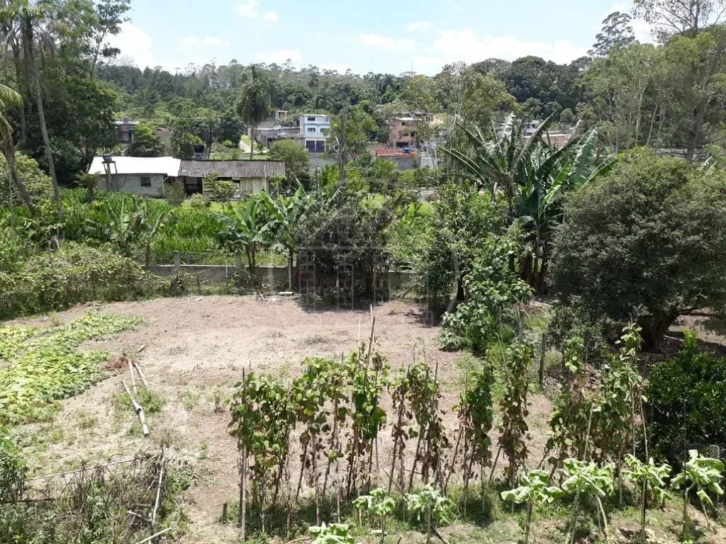 Sítio, 3 quartos, 1800 m² - Foto 8