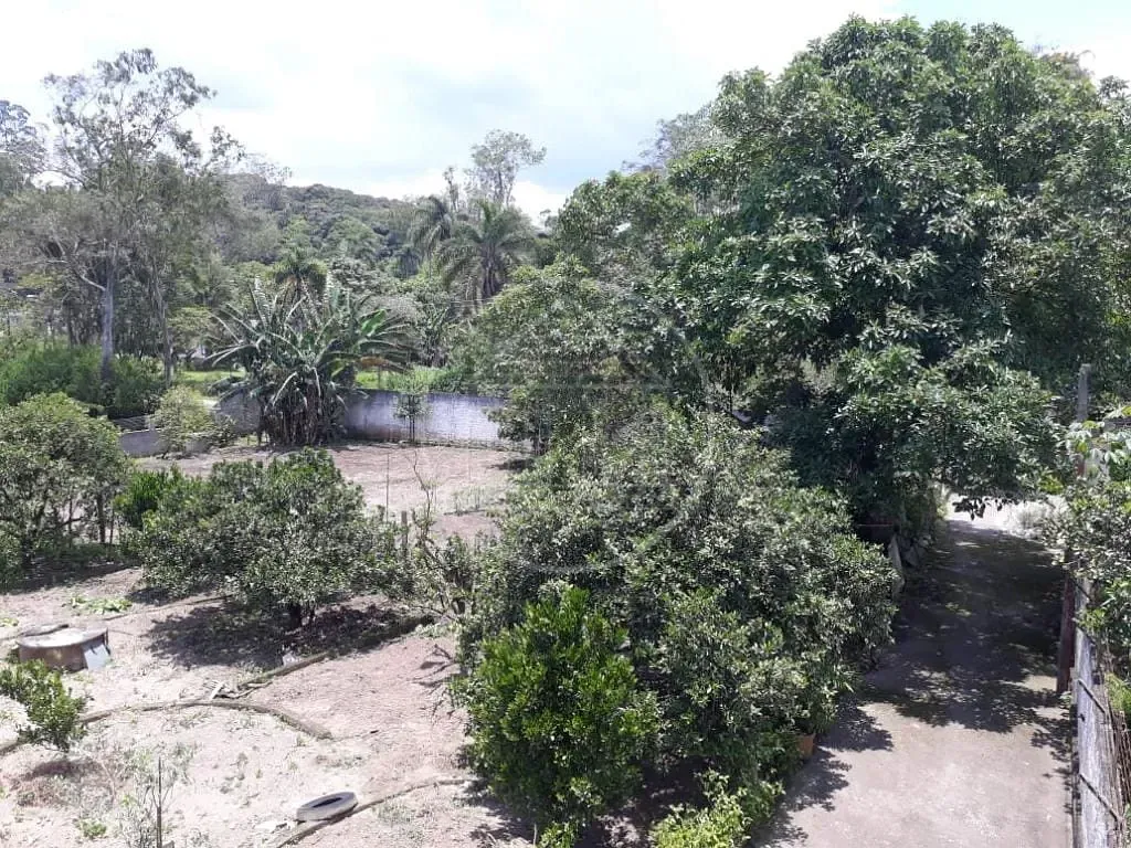 Sítio, 3 quartos, 1800 m² - Foto 16