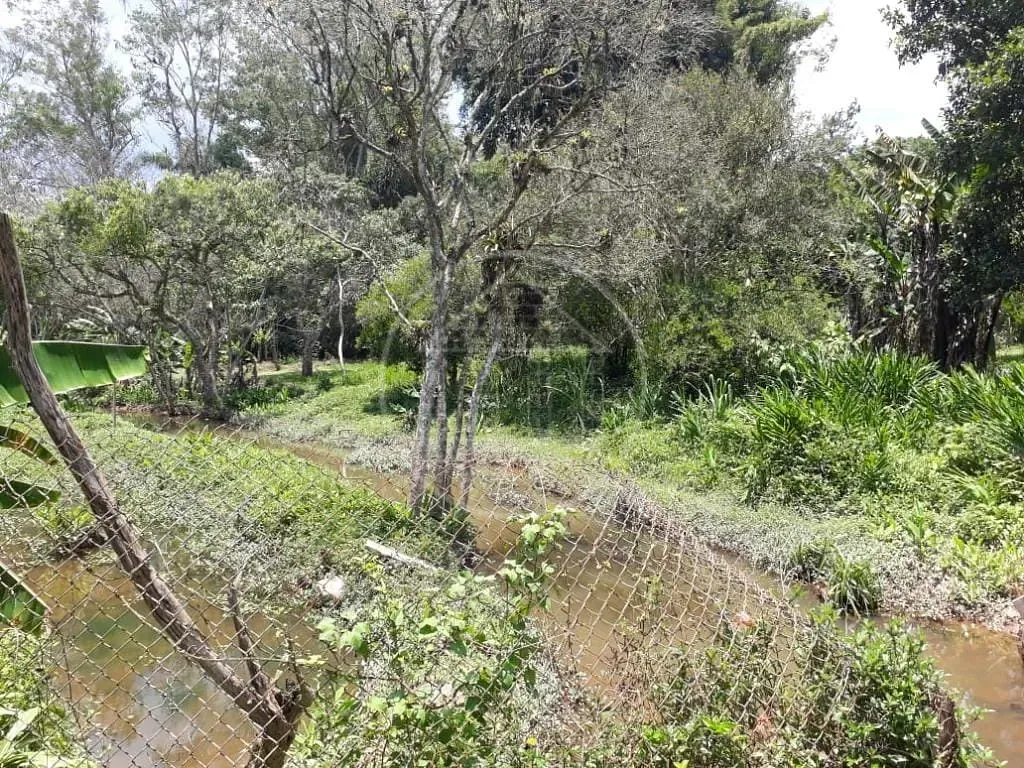 Sítio, 3 quartos, 1800 m² - Foto 18