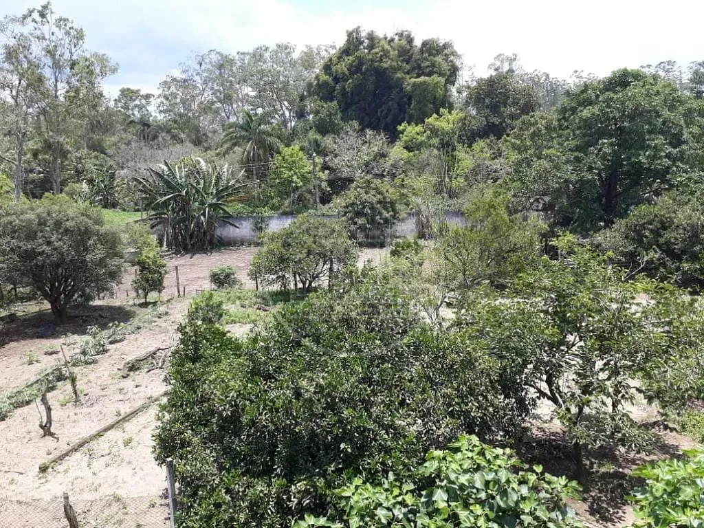 Sítio, 3 quartos, 1800 m² - Foto 6