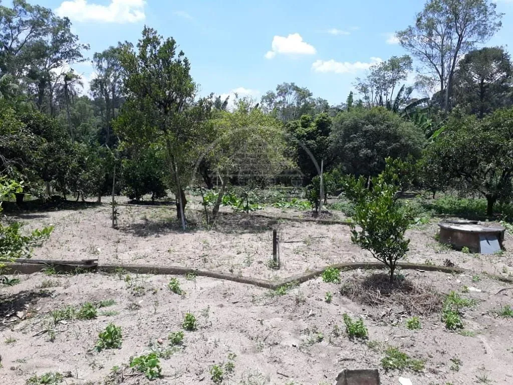 Sítio, 3 quartos, 1800 m² - Foto 17