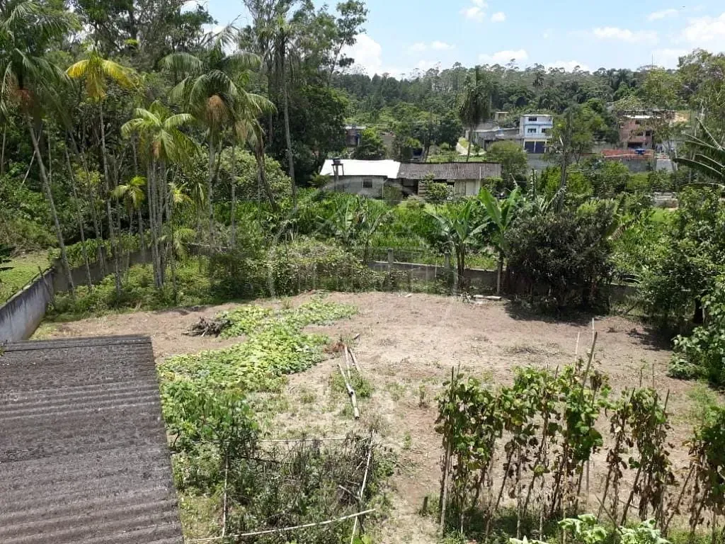 Sítio, 3 quartos, 1800 m² - Foto 5